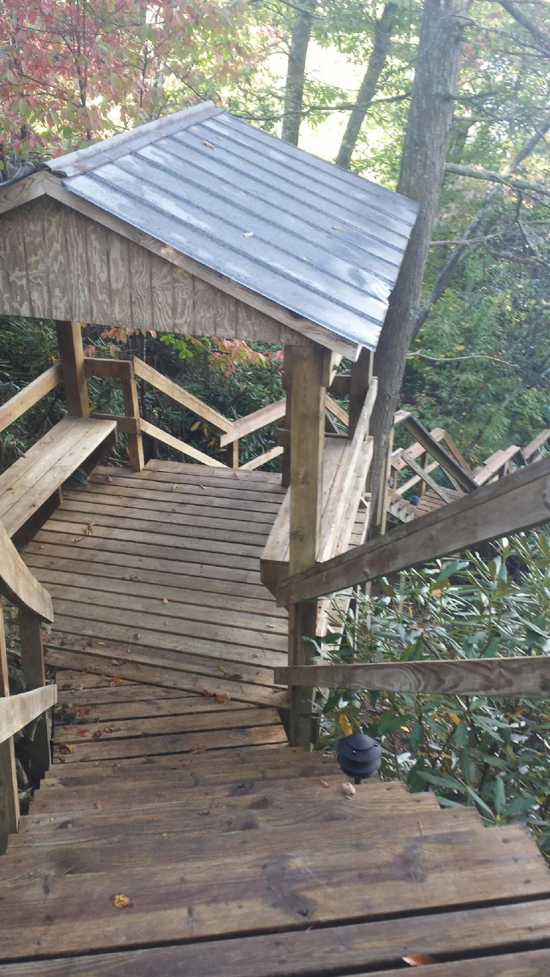 Metal roofed shelter over wooden steps on a wooded walkway — Skylight Repair & Installation work by our crew in Rifle