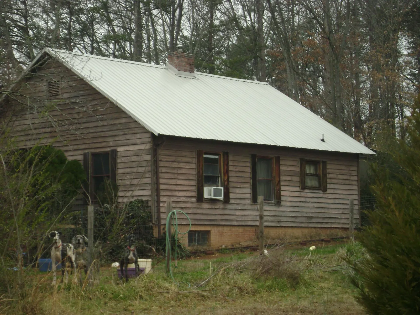 White metal roof on an old wood sided farmhouse, from a Metal Roof Installation job in Rifle